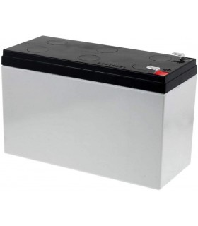 Batteria Ricambio Robomow serie RX