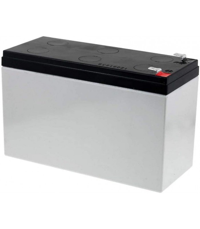 Batteria Ricambio Robomow serie RX