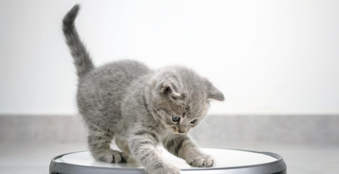 quale iRobot scegliere